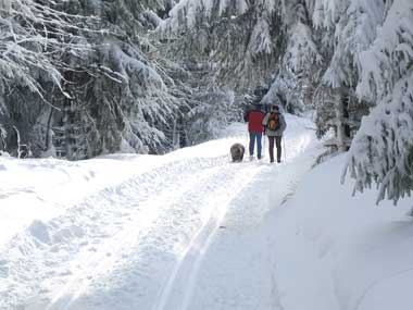 Winter in Oberhundem